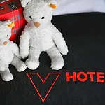 Отель V-Hotel 4*